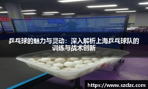 乒乓球的魅力与灵动：深入解析上海乒乓球队的训练与战术创新