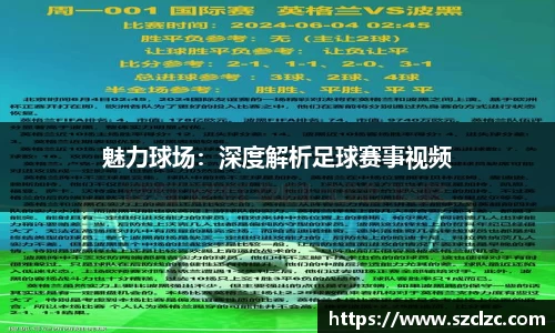 魅力球场：深度解析足球赛事视频