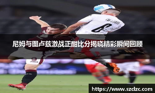 尼姆与图卢兹激战正酣比分揭晓精彩瞬间回顾